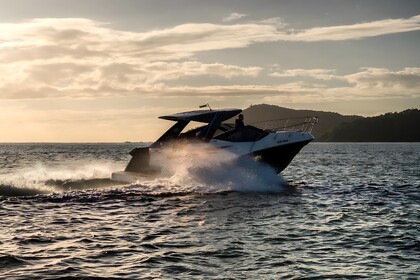 Charter Motorboat nhd NHD Nuevo Vallarta