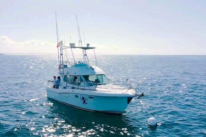Ενοικίαση Μηχανοκίνητο σκάφος Fishing tours Merry Fisher 925 Λισαβόνα