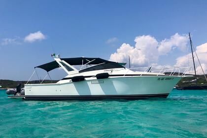 Charter Motorboat Bertram 38 Special Punta Ala