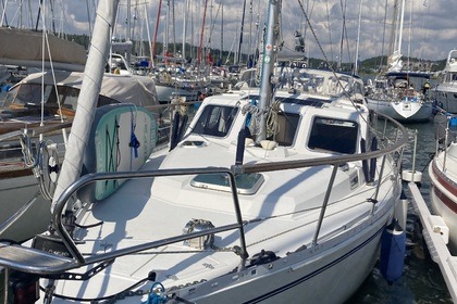 Miete Segelboot Siltala Yachts Nauticat 32 Stockholm