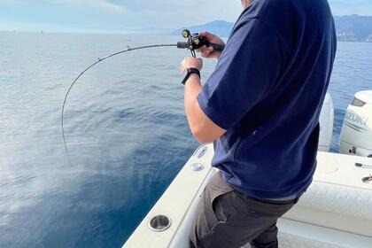 Rental Motorboat Seagame Fishing boat 200 Santa Margherita Ligure