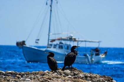 Charter Motorboat Mpelesis Trechantiri Spetses