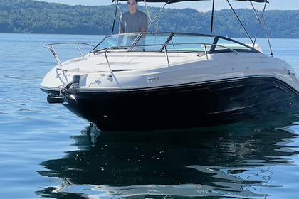 Miete Motorboot Sea Ray 230 SSE 88662