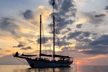 Miete Segelboot Buda McIntosh Bud McIntosh Appledore ll Phuket