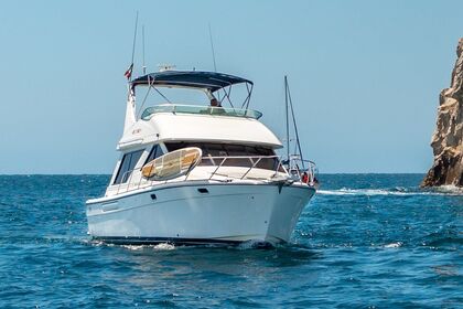 Charter Motorboat Bayliner 42 Cabo San Lucas
