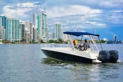 Rental Motorboat Custom 28 Cartagena