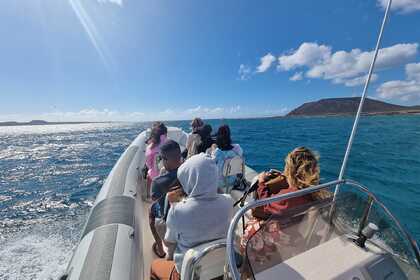 Alquiler Neumática Bsc 750 Fuerteventura