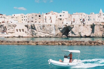 Noleggio Gommone Master Master Vieste