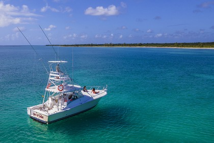 Alquiler Lancha Luhrs 2004 Puerto Aventuras