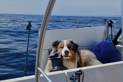 Charter Sailboat Jeneau Sunfast 36 Fezzano