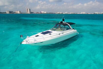 Charter Motorboat Sea Ray Sundancer 410 Express Isla Mujeres