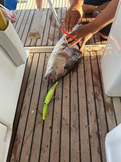 Lêucade Sailboat Jeanneau Sun Odyssey 410 alt tag text