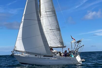 Location Voilier Sea Master Seamaster 925 Santa-Maria-Poggio