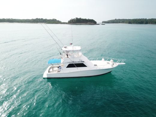 Motorboat Viking 46 boat plan