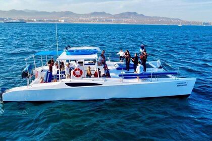 Rental Catamaran Party Catamaran 47ft Cabo San Lucas