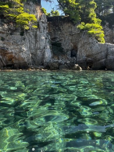 Dubrovnik Without license Venom Istranka alt tag text