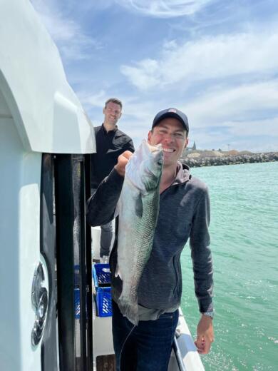 Dieppe Motorboat BENETEAU BARRACUDA 7 alt tag text