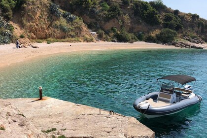 Hire RIB Marlin Dynamic 790 Gray Trogir