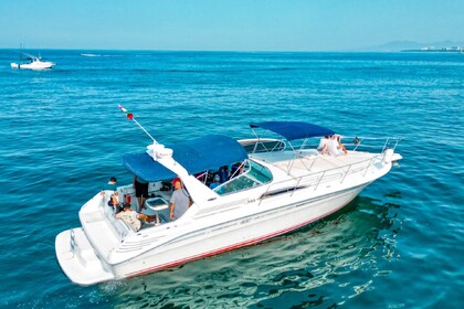 Rental Motorboat Sea Ray sundancer Puerto Vallarta