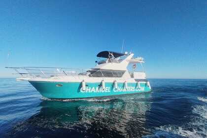 Charter Motorboat Symbol Sundeck 43 Fuengirola