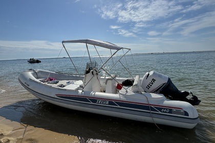 Charter Motorboat Selva Marine 640 Fréjus