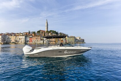 Charter Motorboat Sea Ray 210 Spx Rovinj