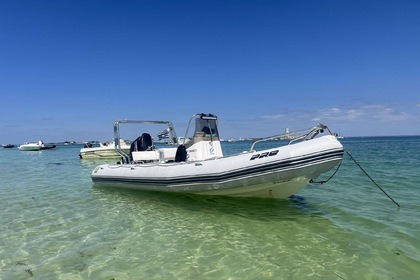 Charter RIB Zodiac Pro Open 650 Port-la-Forêt