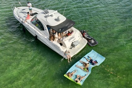 Miete Motorboot SeaRay Sundancer 45 Miami