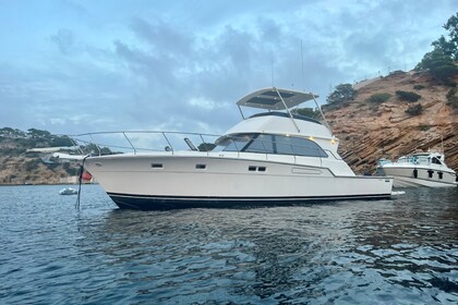 Alquiler Yate a motor Bertram 54 Valencia Mar