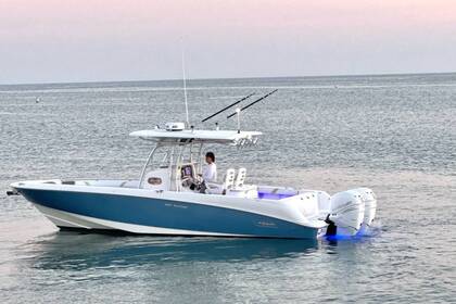 Rental Motorboat Boston Whaler Outrage 320 anniversary Hydra