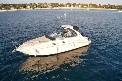 Alquiler Lancha Sea Ray 305 SUNDANCER Golfe Juan