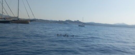 Corfú Sailboat Beneteau Cyclades 50.5 alt tag text