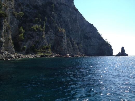 Motorboat Mochi Craft Dominator 31 boat plan