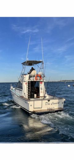 Motorboat Gatto Padi 31 Planta da embarcação