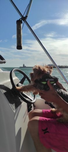 El Puerto de Santa María Without license Karel 400 alt tag text