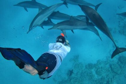 Charter Motorboat Acquaviva d Touristic Villages