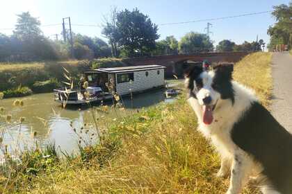 Alquiler Casas flotantes bateaux pour la planète STANDARD PMR Pommevic