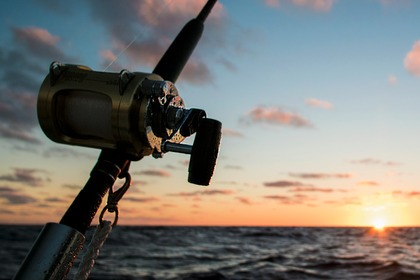 Hire Motorboat Oki Boats Barracuda 545 Marbella