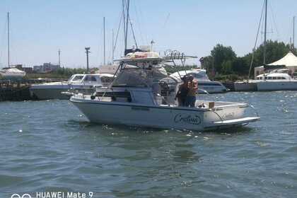 Verhuur Motorboot Polyform Triakis C29 Fiumicino