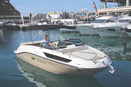 Alquiler Lancha Sea Ray 230 SSE Port Adriano