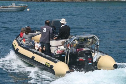 Ενοικίαση Φουσκωτό SILLINGER SILLINGER 580 Λα Τρινιτέ-συρ-Μερ