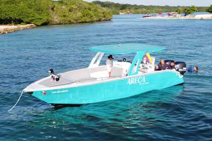 Hire Motorboat Areca de Palmar 2021 Cartagena