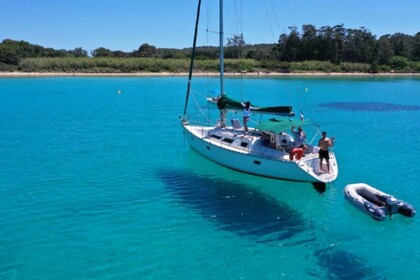 Alquiler Velero Jeanneau Sun Dance 36 Saint-Mandrier-sur-Mer
