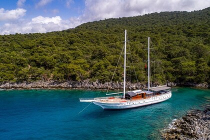 Charter Gulet Gulet Gulet MM Marmaris