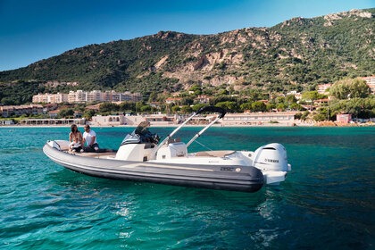 Noleggio Gommone Bsc BSC B1 Porto Vecchio