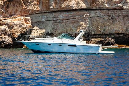 Aluguel Lancha Tiara 3600 Open Paros