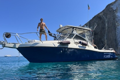 Noleggio Barca a motore Tuna express Tuna express Nettuno