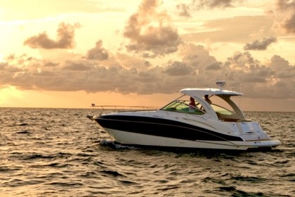 Rental Motorboat Cruiser Yachts 38 Hyères