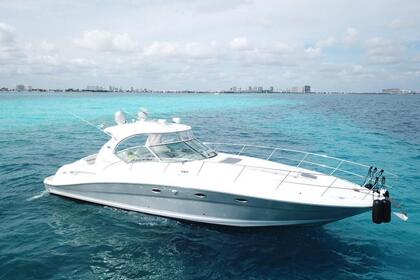 Charter Motorboat Sea Ray 44 Cancún