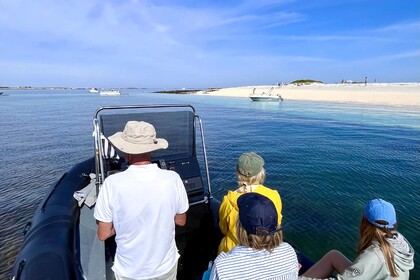 Location Semi-rigide Tarpon DV65 La Forêt-Fouesnant